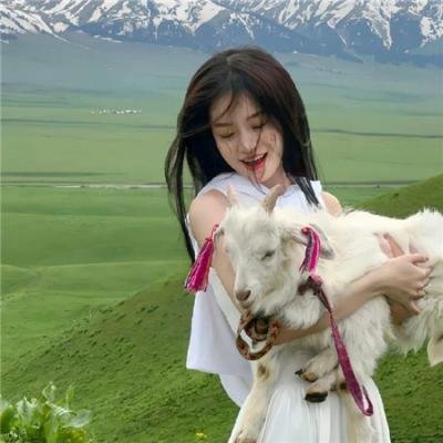 班尼的录影带