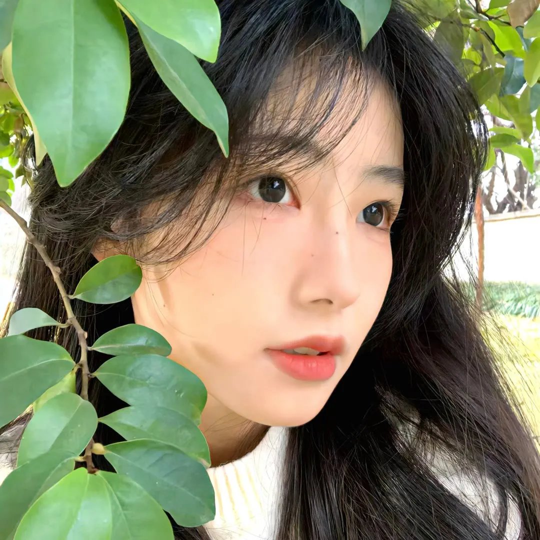戴洛奇小镇第一季